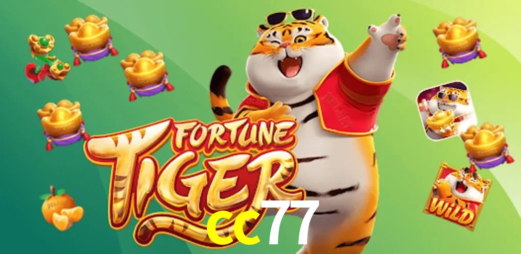 Security Systems cc77